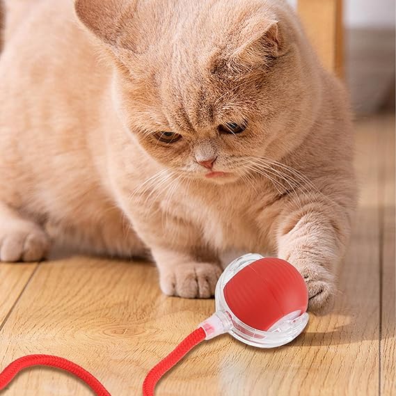 Interactive Cat Toy Ball Smart Automatic Moving Electric Pet for Cats Dogs Toys USB Rechargeable 360° Available Upgraded 3 Mode Switching Indoor Fun Boredom Relief Exercise on Carpet Hard Floor Red